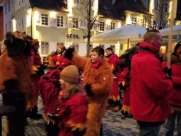 Umzug_Göppingen_07.01_2024_039